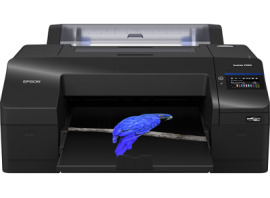 Epson SureColor SC-P5300