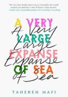 A Very Large Expanse of Sea - cena, porovnanie