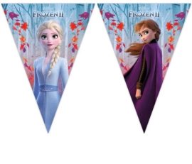 Godan Girlanda vlajky ľadové kráľovstvo 2 - frozen 2 - 230cm