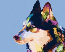 Zuty Maľovanie podľa čísel - Farebný husky, 40 x 50 cm, napnuté plátno na rám