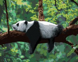 Zuty Maľovanie podľa čísel - Panda ležiaca na strome, 40 x 50 cm, bez rámu a bez napnutia plátna