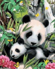 Zuty Maľovanie podľa čísel - Panda s mláďaťom a vodopád (Howard Robinson), 80 x 100 cm, vypnuté plátno na rám