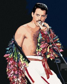 Zuty Maľovanie podľa čísel - Freddie Mercury, 80 x 100 cm, bez rámu a napnutého plátna