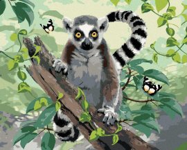 Zuty Maľovanie podľa čísel - Lemur a motýle (Howard Robinson), 80 x 100 cm, bez rámu a bez napnutia plátna