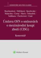 Úmluva OSN o smlouvách o mezinárodní koupi zboží - cena, porovnanie