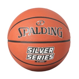 Spalding Silver Series