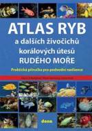 Atlas ryb a dalších živočichů korálových útesů Rudého moře - cena, porovnanie