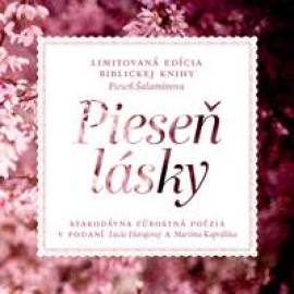 Pieseň lásky - Štúdio Nádej