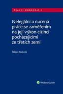 Nelegální a nucená práce se zaměřením na její výkon - cena, porovnanie