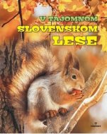 V tajomnom slovenskom lese - cena, porovnanie