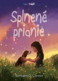 Splnené prianie