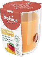 Bolsius Sviečka Mango 313g - cena, porovnanie