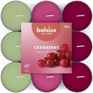 Bolsius Cranberry 260 g, 18ks - cena, porovnanie