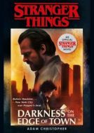 Stranger Things: Darkness on the Edge of Town : The Second Official Novel - cena, porovnanie