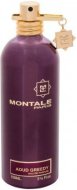 Montale Aoud Greedy parfémovaná voda 100ml - cena, porovnanie