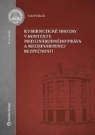 Kybernetické hrozby v kontexte medzinárodného práva a medzinárodnej bezpečnosti - cena, porovnanie