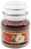 Cheerful Candle Sviečka Jablko 454g - cena, porovnanie