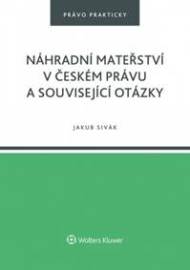 Náhradní mateřství v českém právu a související otázky