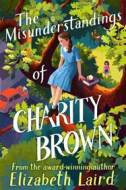 The Misunderstandings of Charity Brown - cena, porovnanie