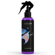 Astro Shine ETERNAL Autošampón 500ml - cena, porovnanie